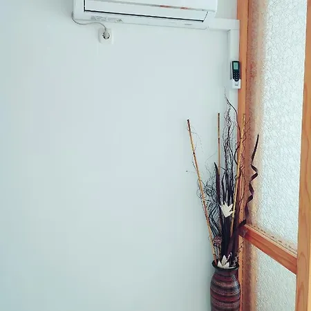 Tamara ドボイ